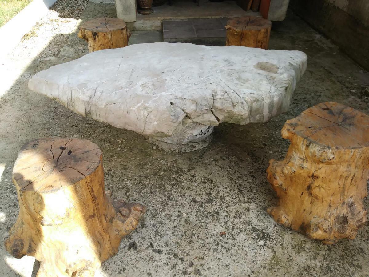 Villa Daja Biograd Na Moru Bagian luar foto